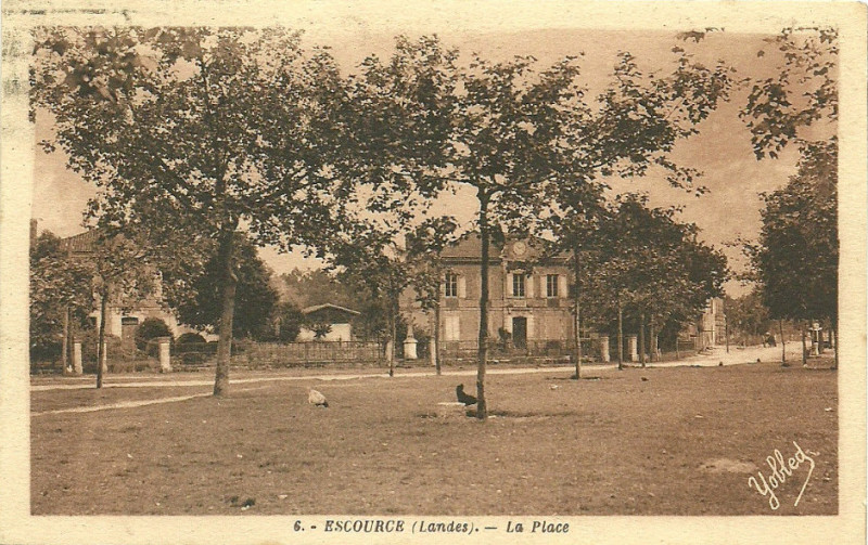 Carte postale ancienne Escource - La Place 1