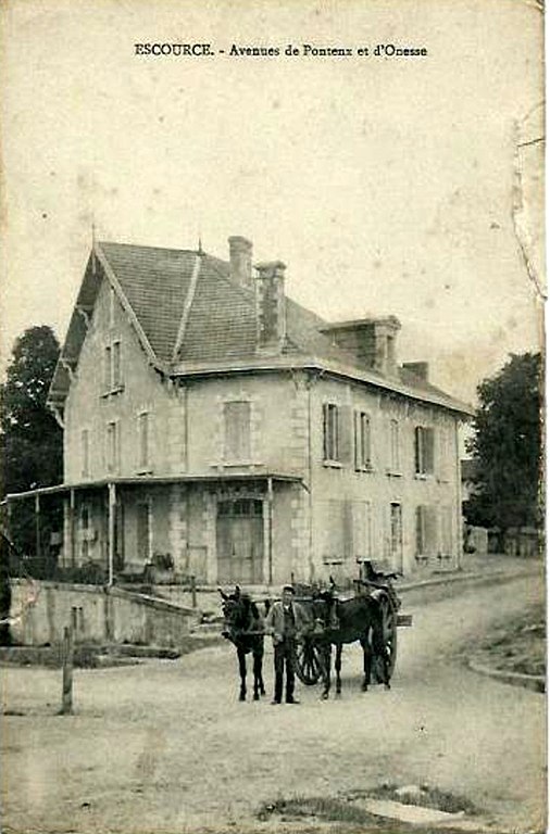 Carte postale ancienne Escource – avenues de Pontex de de l'Onesse 1