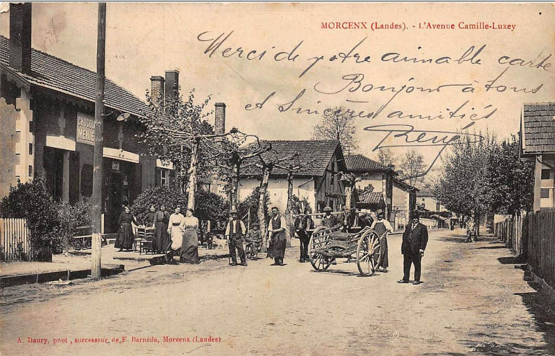 Carte postale ancienne Morcenx - avenue Camille-Luxey