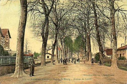 Carte postale ancienne Sabres - avenue de Labrit