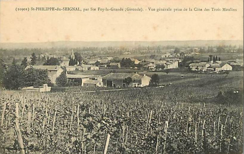 Carte postale ancienne Saint-Philippe-du-Seignal - vue générale 1