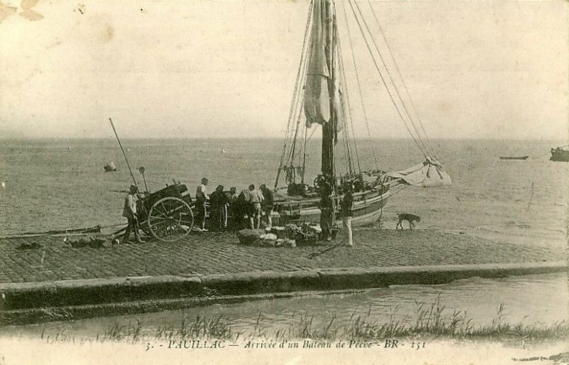 Carte postale ancienne Pauillac - Port 1