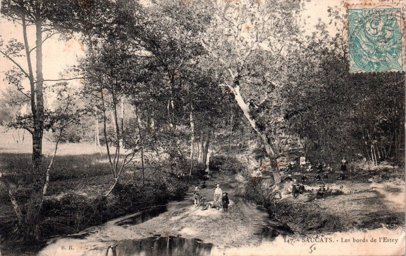Carte postale ancienne Saucats - bords de l'Estey
