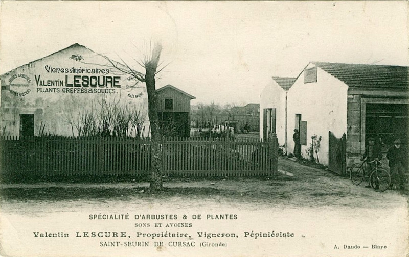 Carte postale ancienne Saint-Seurin-de-Cursac - bourg