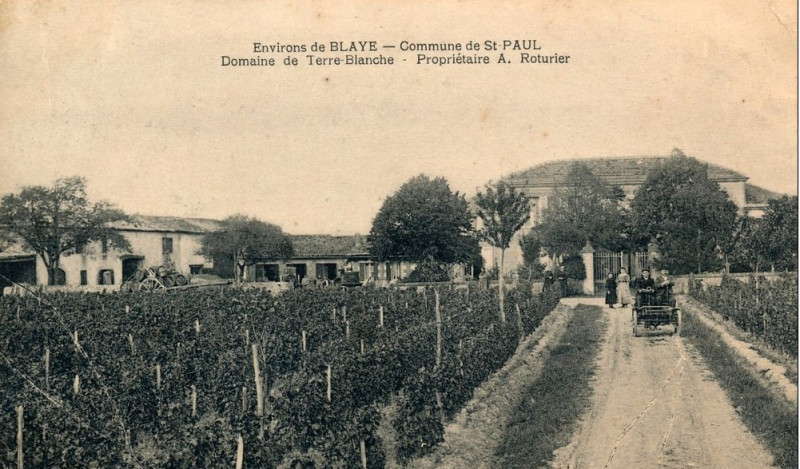 Carte postale ancienne Saint-Paul - domaine de Terre-blanche
