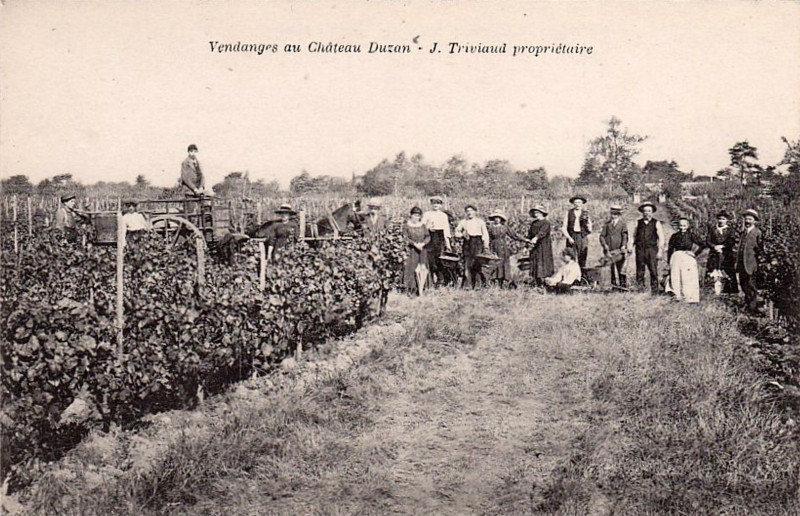 Carte postale ancienne Saint-Symphorien - château Duzan 2
