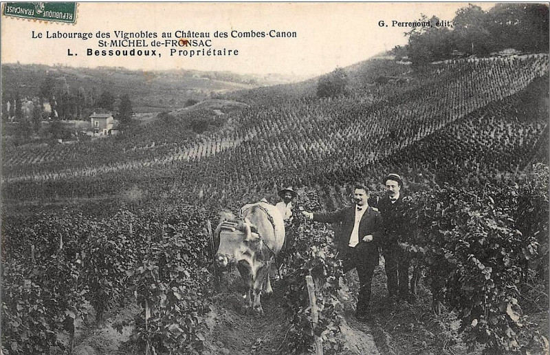Carte postale ancienne Saint-Michel-de-Fronsac - château Canon 1