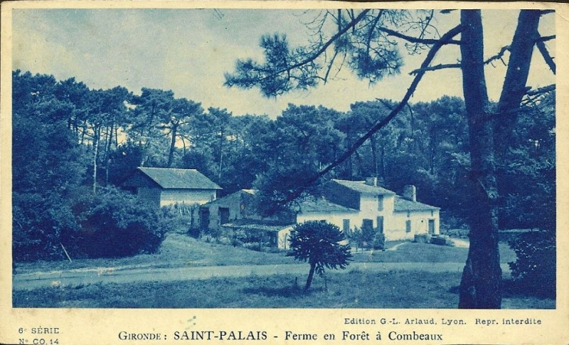 Carte postale ancienne Saint-Palais - Ferme en forêt