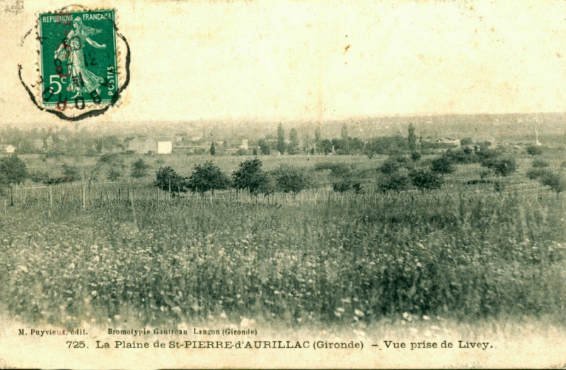 Carte postale ancienne Saint-Pierre-d'Aurillac - Vue générale 3