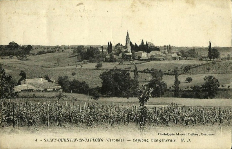 Carte postale ancienne Saint-Quentin-de-Caplong - vue générale 1