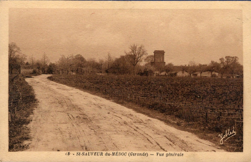 Carte postale ancienne Saint-Sauveur-du-Médoc - vue générale 1