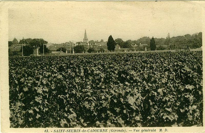 Carte postale ancienne Saint-Seurin-de-Cadourne - vue générale 1