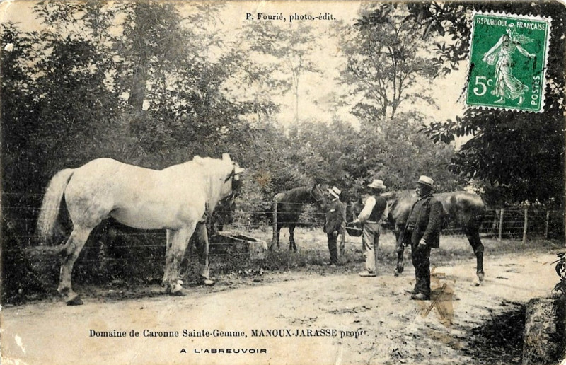 Carte postale ancienne Sainte-Gemme - Domaine Caronne 1