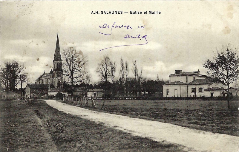 Carte postale ancienne Salaunes - vue générale 1