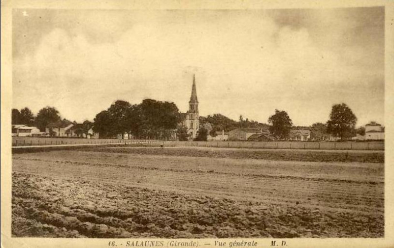 Carte postale ancienne Salaunes - vue générale 2