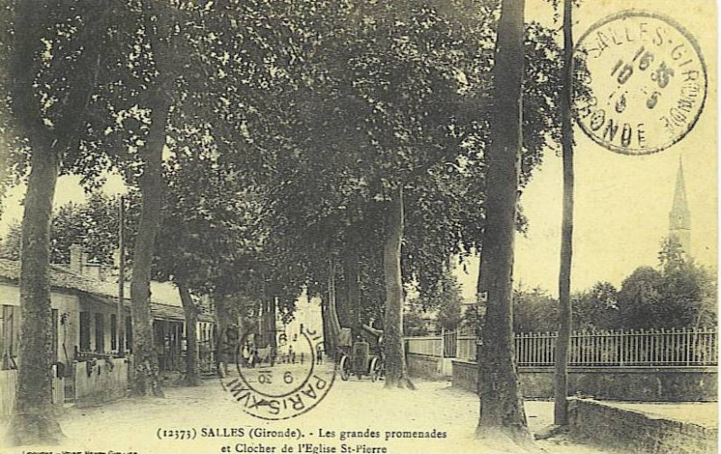 Carte postale ancienne Salles - grandes promenades