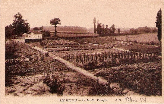 Carte postale ancienne Talence - domaine du Bijou 10