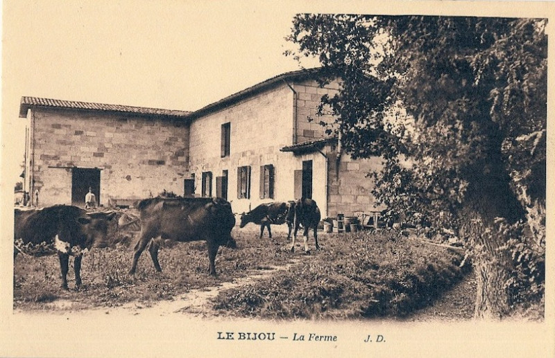 Carte postale ancienne Talence - domaine du Bijou 8