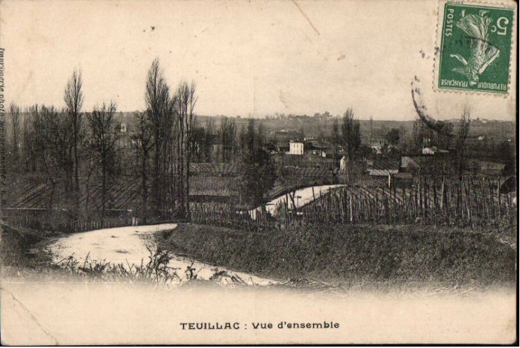 Carte postale ancienne Teuillac - vue générale