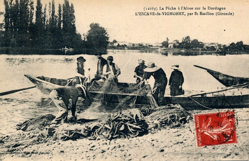 Carte postale ancienne Vignonet - bords de la Dordogne 6
