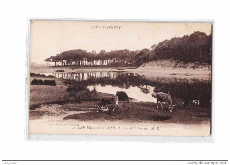 Carte postale ancienne Marine landaise Capbreton