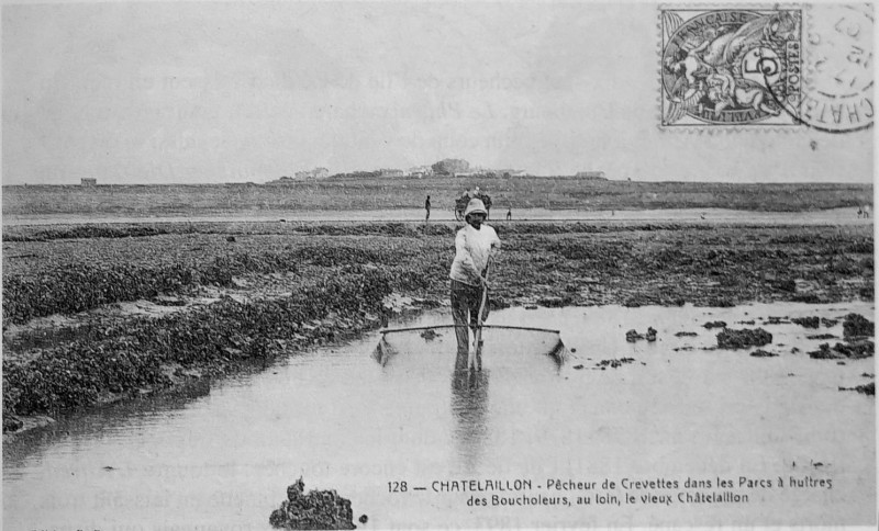 Carte postale ancienne Chatelaillon 1907 peche crevette 1004047
