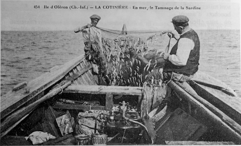 Carte postale ancienne Ile d oléron peche sardine 1004047