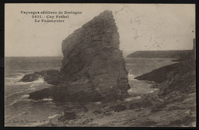 Carte postale ancienne Cap Fréhel - Fauconnier à Plévenon