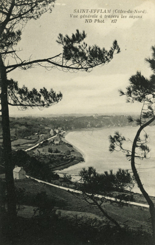 Carte postale ancienne Plestin-les-Grèves - Vue générale à travers les sapins à Plestin-les-Grèves