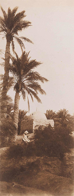 Carte postale ancienne Tunisia-Bougault02