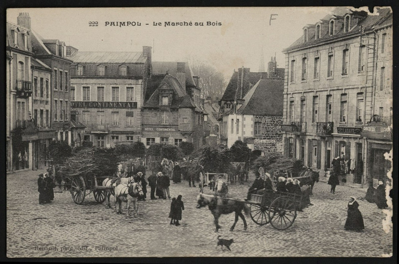 Carte postale ancienne Paimpol - Marché au Bois à Paimpol