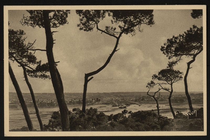 Carte postale ancienne Paimpol - Vue générale à travers les pins à Paimpol