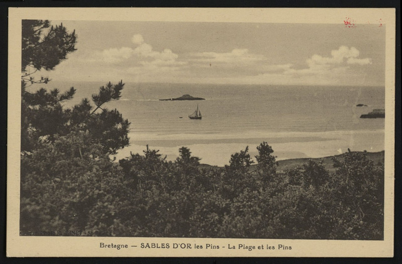 Carte postale ancienne Fréhel - Sables-d'Or-les-Pins plage et les pins à Fréhel