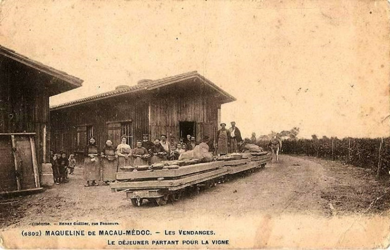 Carte postale ancienne Domine de la Maqueline de Macau-Medoc