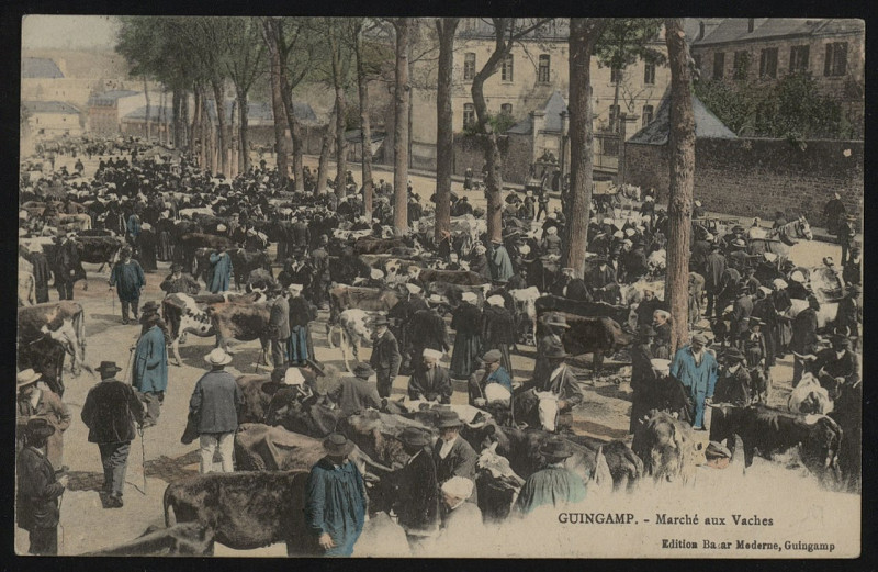 Carte postale ancienne Guingamp - Marché aux Vaches à Guingamp