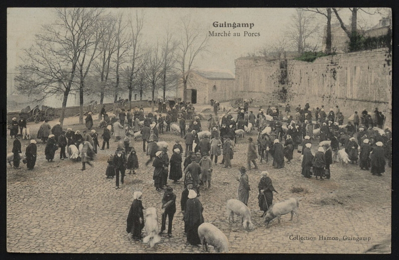 Carte postale ancienne Guingamp - Marché aux porcs à Guingamp