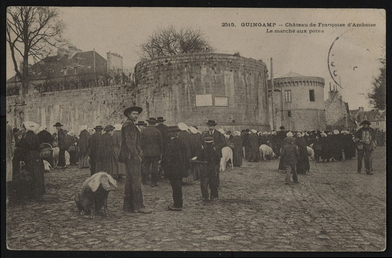 Carte postale ancienne Guingamp - Château de Françoise d'Amboise et marché aux porcs à Guingamp