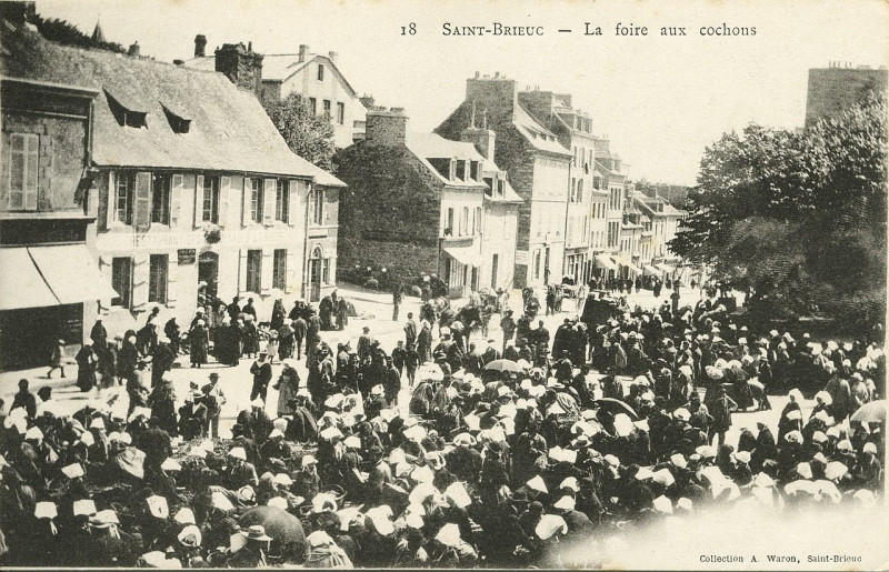 Carte postale ancienne Saint-Brieuc - Foire aux cochons à Saint-Brieuc