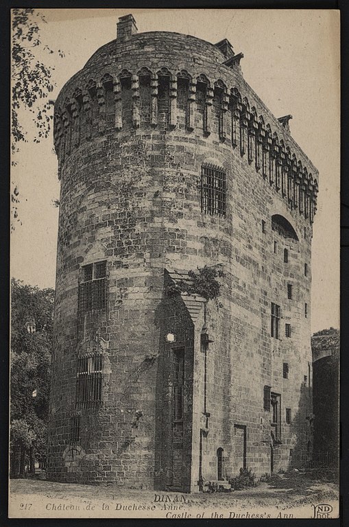 Carte postale ancienne Dinan - Château de la Duchesse Anne à Dinan