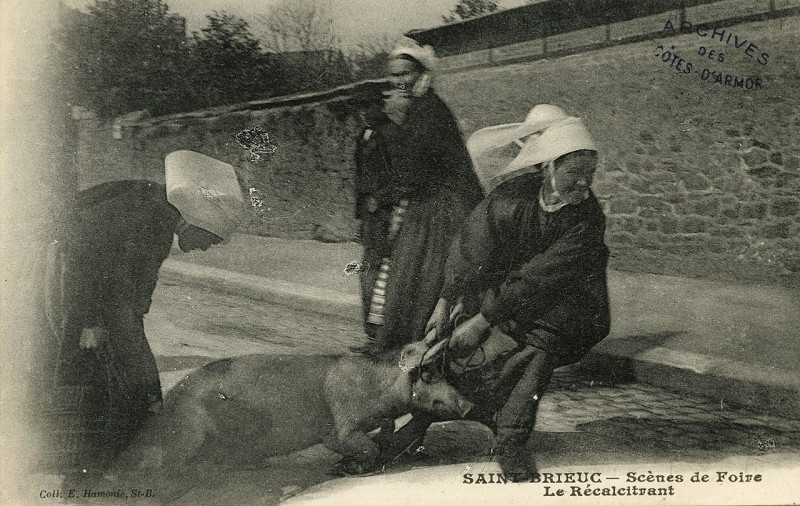 Carte postale ancienne Saint-Brieuc - Scènes de foire le récalcitrant à Saint-Brieuc