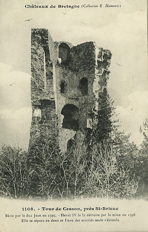 Carte postale ancienne Saint-Brieuc - Tour de Cesson à Saint-Brieuc