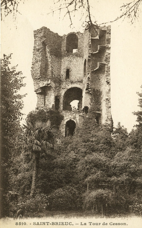 Carte postale ancienne Saint-Brieuc - Tour de Cesson à Saint-Brieuc