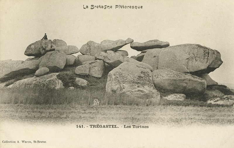 Carte postale ancienne Trégastel - Tortues à Trégastel