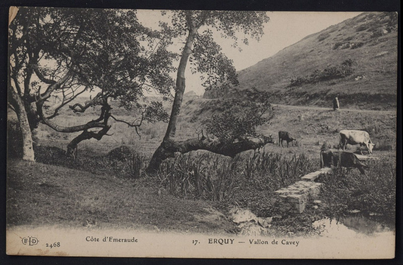 Carte postale ancienne Erquy - Vallon de Cavey à Erquy