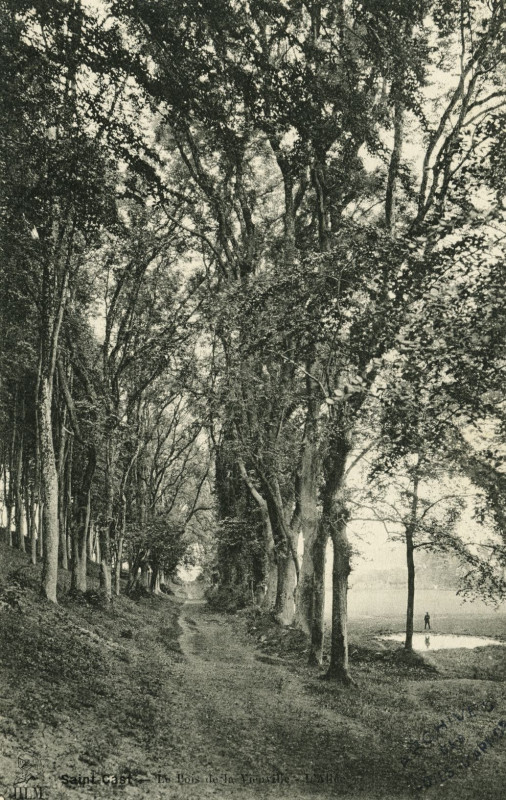 Carte postale ancienne Saint-Cast - Bois de la Vieuville à Saint-Cast-le-Guildo