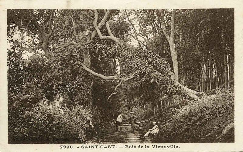 Carte postale ancienne Saint-Cast - Bois de la Vieuxville à Saint-Cast-le-Guildo