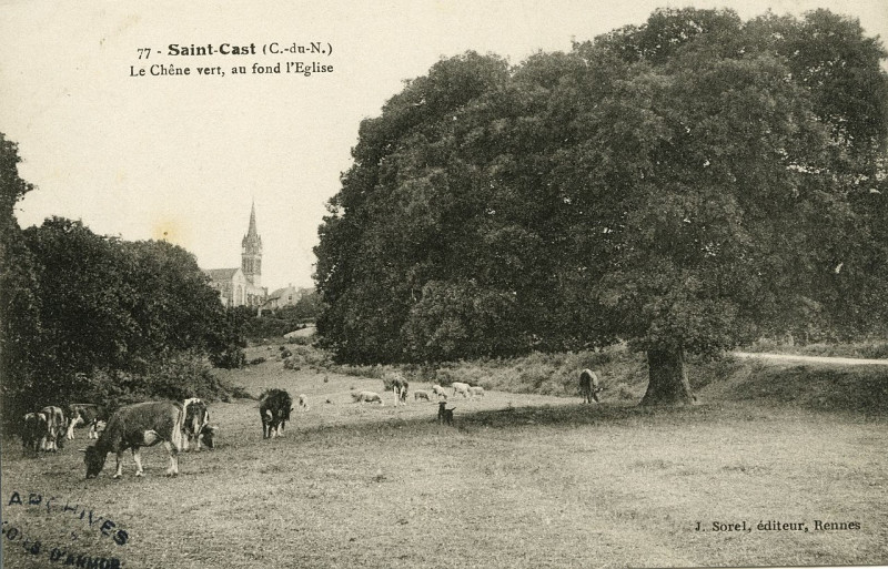 Carte postale ancienne Saint-Cast - Chêne vert au fond l'église à Saint-Cast-le-Guildo