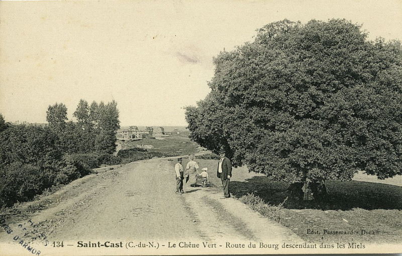 Carte postale ancienne Saint-Cast - Chêne vert route du bourg descendant dans les Miels à Saint-Cast-le-Guildo