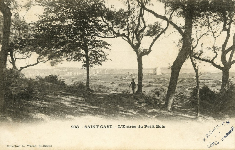 Carte postale ancienne Saint-Cast - Entrée du Petit Bois à Saint-Cast-le-Guildo
