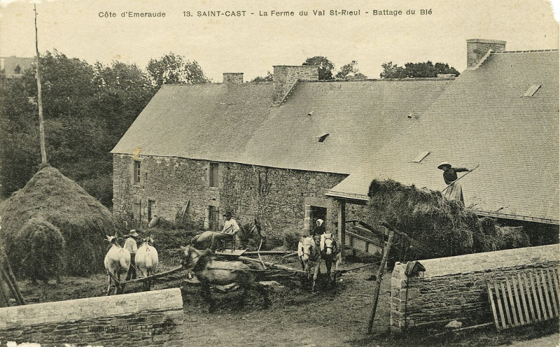 Carte postale ancienne Saint-Cast - Ferme du Val Saint-Rieul battage du blé à Saint-Cast-le-Guildo